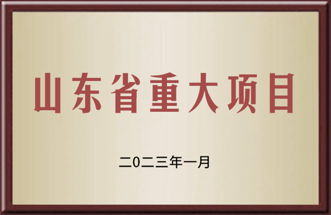 山东省重大项目